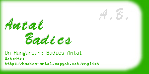 antal badics business card
